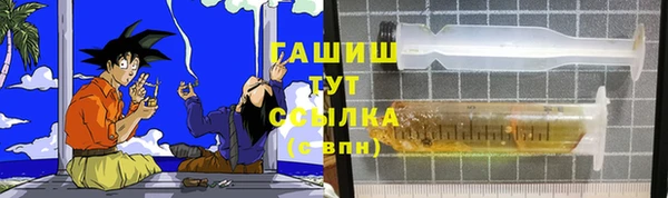 индика Алзамай