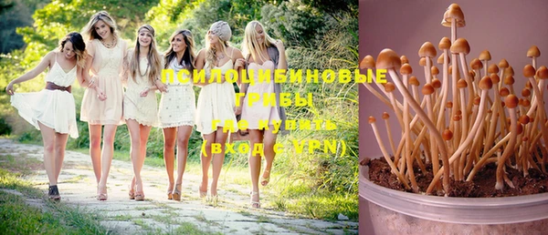 индика Алзамай
