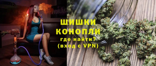 индика Алзамай
